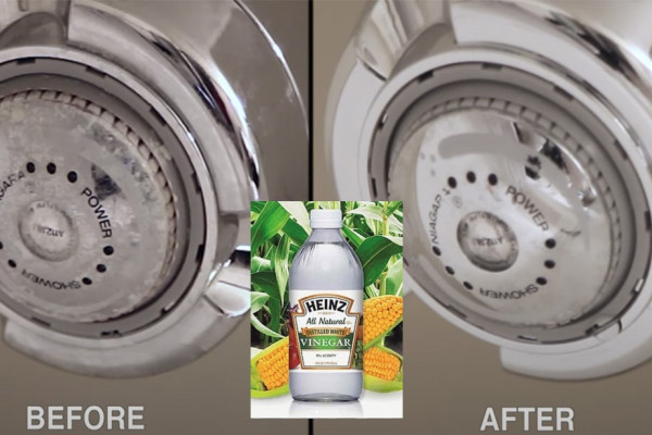 how to clean a grimy shower head with vinegar