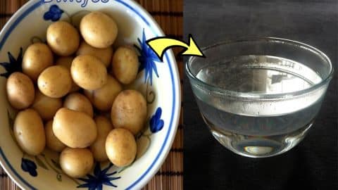 How to Keep Potatoes from Browning | DIY Joy Projects and Crafts Ideas