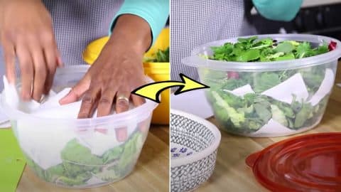 How to Keep Your Salad Fresh for Days | DIY Joy Projects and Crafts Ideas