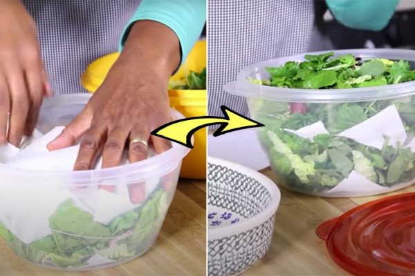 how to keep your salad fresh for days