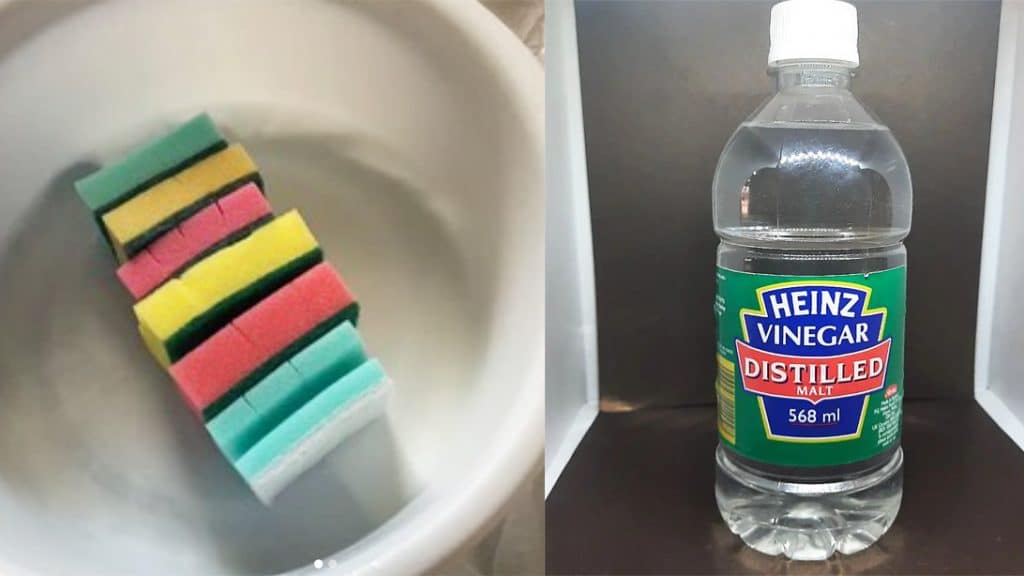 how to sanitize your kitchen sponge