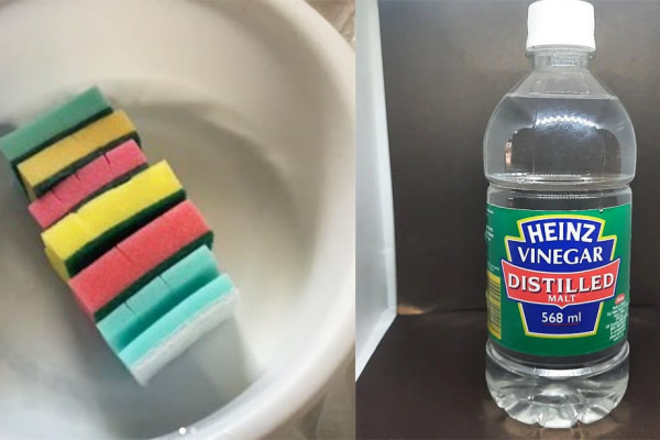 how to sanitize your kitchen sponge