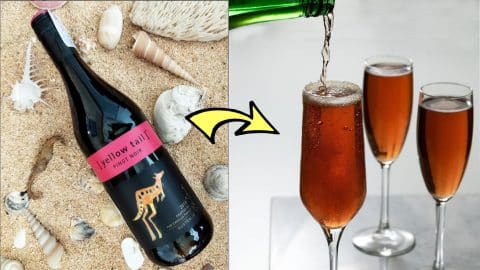 How to Turn Cheap Wine into Bubbly Champagne | DIY Joy Projects and Crafts Ideas