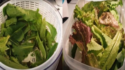 The Secret to Make Leafy Greens Stay Crispy | DIY Joy Projects and Crafts Ideas