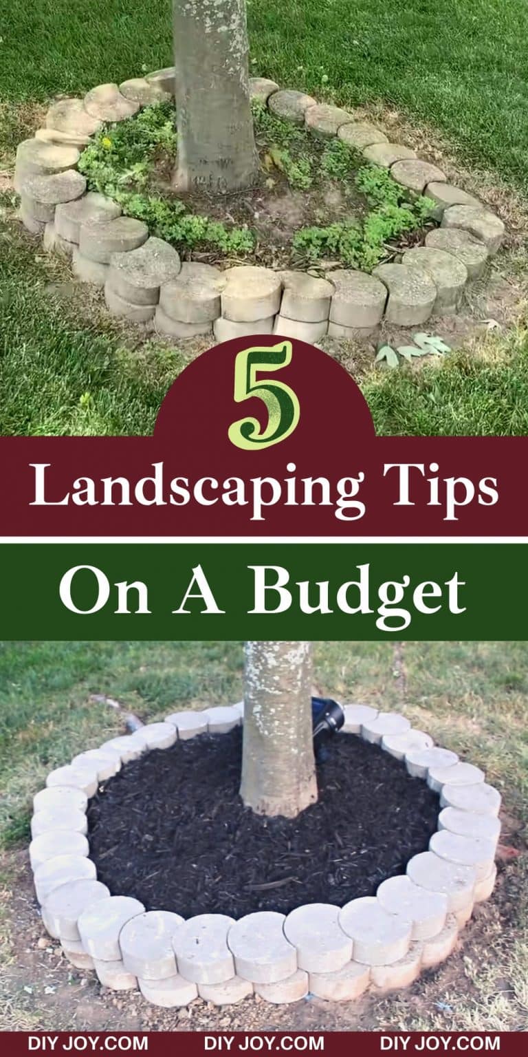 5 DIY Landscaping Tips On A Budget - DIY Joy