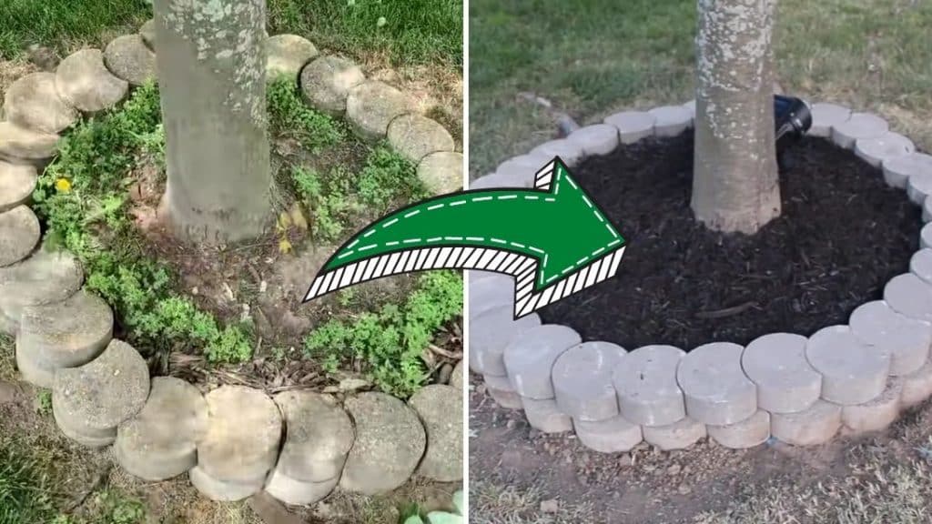 DIY Landscaping Tips On A Budget