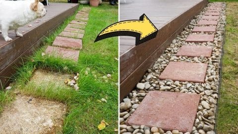 How To Install A Paver Walkway | DIY Joy Projects and Crafts Ideas