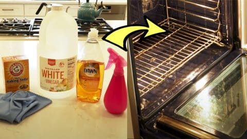 How to Clean Your Oven With Simple DIY Hack | DIY Joy Projects and Crafts Ideas