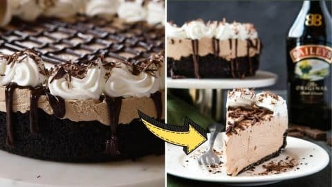 No-Bake Baileys Irish Cream Cheesecake Recipe | DIY Joy Projects and Crafts Ideas