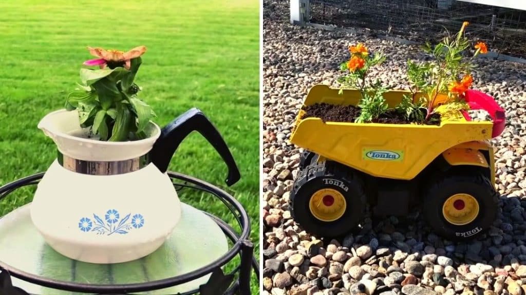 Recycled And Cheap Planter Ideas