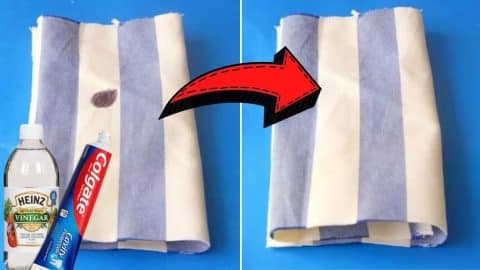 Simplest Way To Remove Ballpoint Ink Stains | DIY Joy Projects and Crafts Ideas