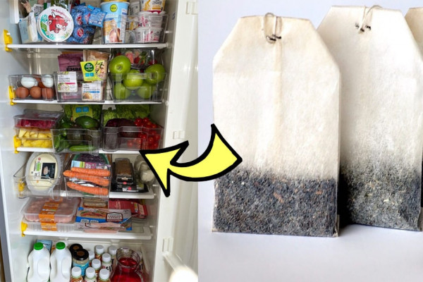 freshen fridge with a tea bag