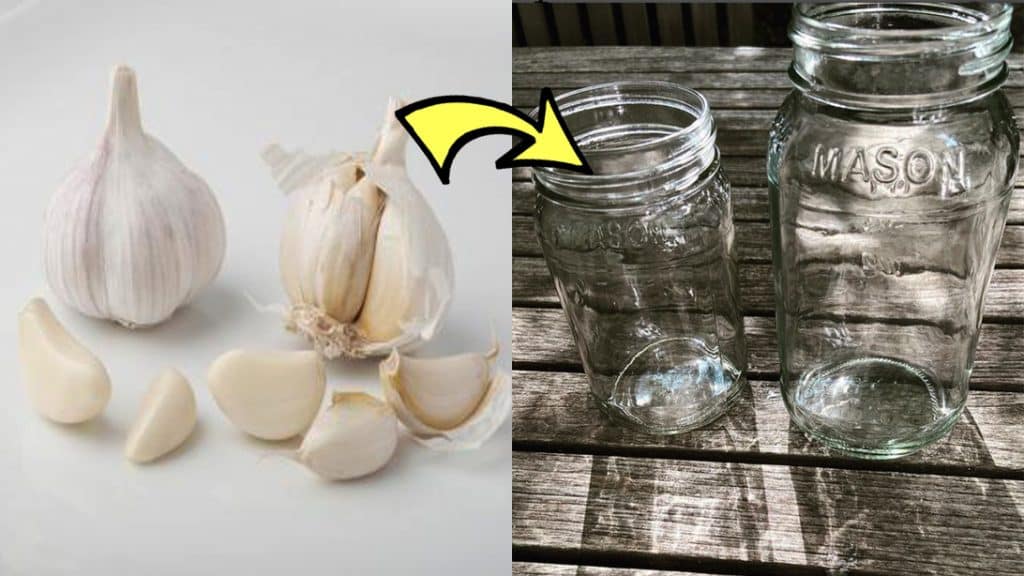 how to peel garlic in a mason jar