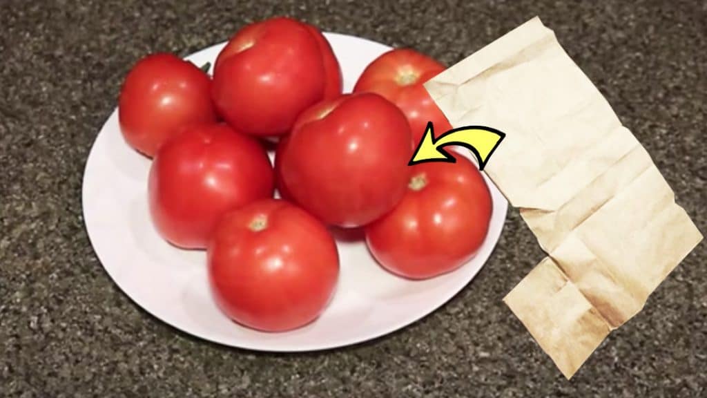 keep tomatoes fresh for a long time without freezing