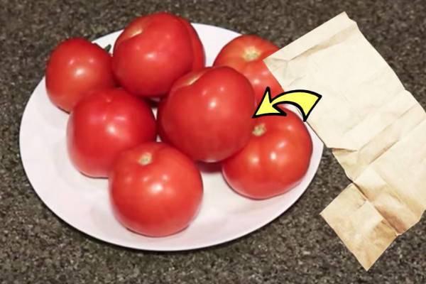 keep tomatoes fresh for a long time without freezing