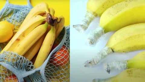 The Trick to Keeping Your Bananas Fresh Longer | DIY Joy Projects and Crafts Ideas