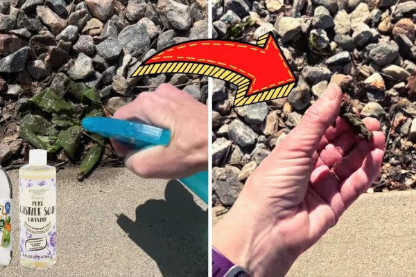 DIY Weed blocker solution