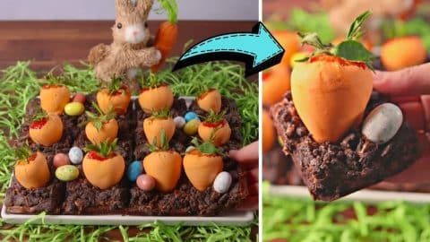 Easy Carrot Patch Brownies Recipe | DIY Joy Projects and Crafts Ideas