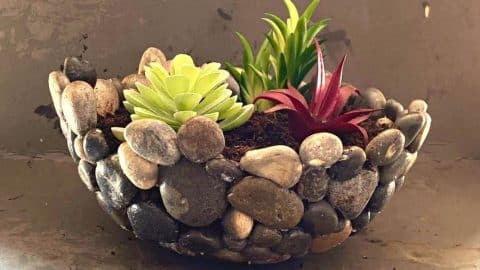 Easy DIY Pebble Pot Tutorial | DIY Joy Projects and Crafts Ideas