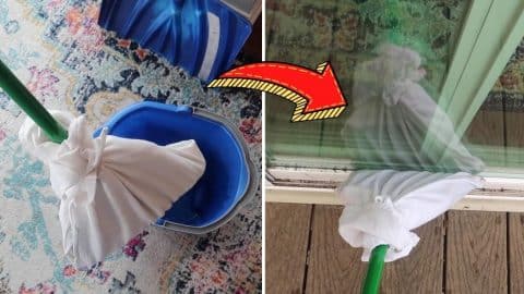 Homemade Inexpensive DIY Glass Cleaner Tutorial | DIY Joy Projects and Crafts Ideas