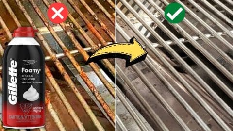 How To Clean A Rusty BBQ Grill With Shaving Foam | DIY Joy Projects and Crafts Ideas