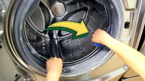 How To Clean & Deodorize Your Washing Machine | DIY Joy Projects and Crafts Ideas