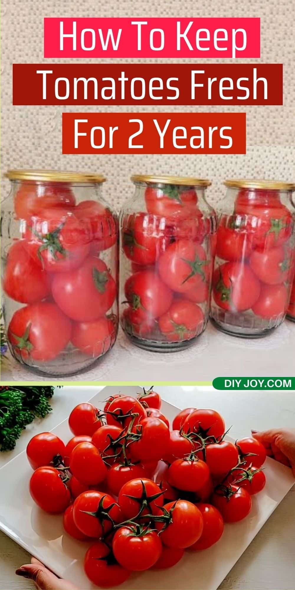 How To Keep Tomatoes Fresh For 2 Years -Kitchen Hacks DIY