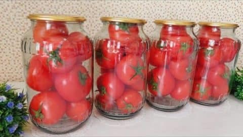 How To Keep Tomatoes Fresh For 2 Years | DIY Joy Projects and Crafts Ideas