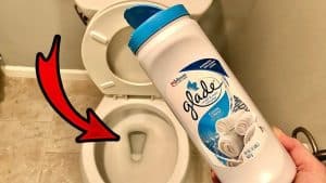 How To Make Your Toilet Super Clean & Smell Amazing