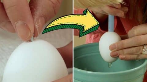 How To Remove An Egg Without Breaking The Shell | DIY Joy Projects and Crafts Ideas