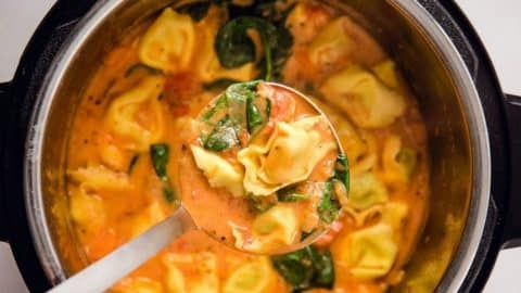 20-Minute Slow Cooker Creamy Tortellini Soup Recipe | DIY Joy Projects and Crafts Ideas