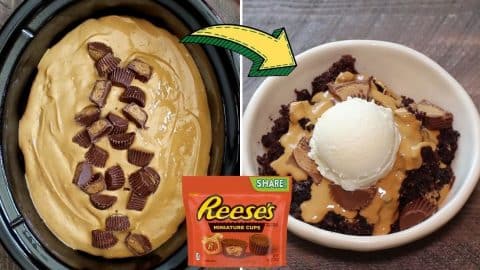 Slow Cooker Reese’s Peanut Butter Chocolate Cake Recipe | DIY Joy Projects and Crafts Ideas