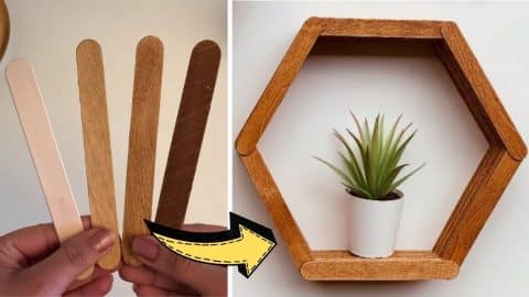 Cheap DIY Hexagon Shelves Using Popsicle Sticks | DIY Joy Projects and Crafts Ideas