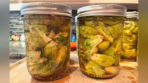 Easy To Make Pickled Brussel Sprouts | DIY Joy Projects and Crafts Ideas