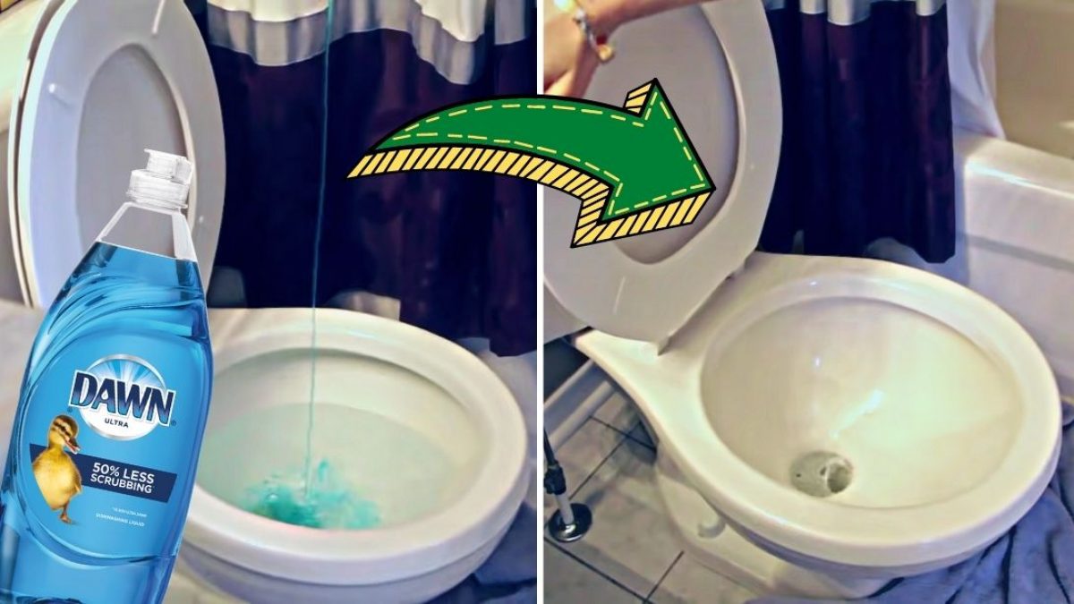 How To Unclog a Toilet without a Plunger - Chas' Crazy Creations