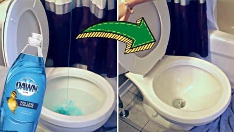 How To Unclog The Toilet Without A Plunger | DIY Joy Projects and Crafts Ideas