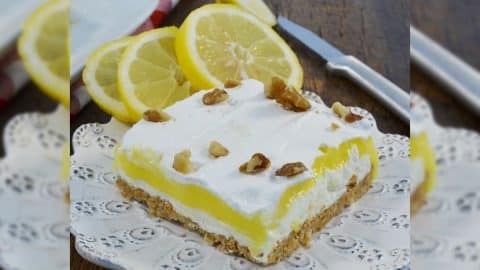 No-Bake Lemon Pudding Dessert Recipe | DIY Joy Projects and Crafts Ideas