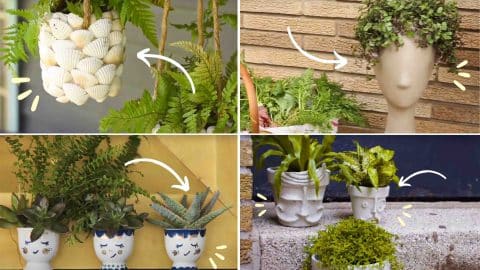 10 Easy DIY Planters You’ve Never Thought Of | DIY Joy Projects and Crafts Ideas