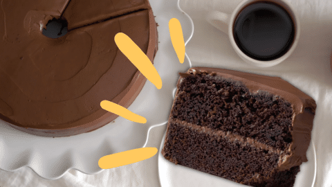 Easy Chocolate Dump-It Cake | DIY Joy Projects and Crafts Ideas