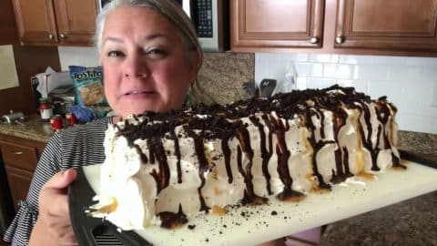 Easy Oreo & Fudge Ice Cream Cake Recipe | DIY Joy Projects and Crafts Ideas