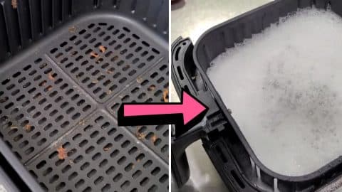 How To Clean A Dirty & Smelly Air Fryer | DIY Joy Projects and Crafts Ideas