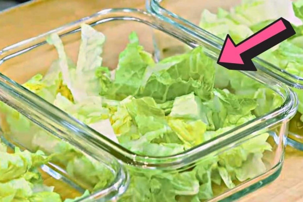 How To Keep Lettuce Fresh & Store It For A Week