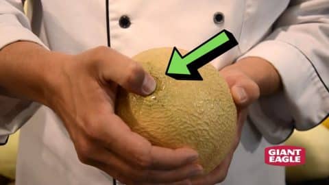 How To Pick A Ripe Cantaloupe Or Honeydew Melon | DIY Joy Projects and Crafts Ideas