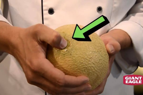 How To Pick A Ripe Cantaloupe Or Honeydew Melon