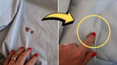 How To Remove Dried Blood Stains Quickly | DIY Joy Projects and Crafts Ideas
