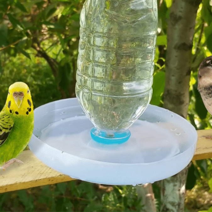 How to Make a Homemade Bird Bath Heater: Easy & Effective Guide