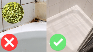How to Remove Black Mold From Shower Silicone