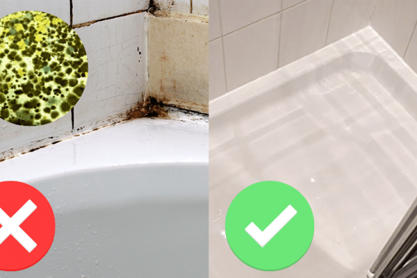 How to Remove Black Mold From Shower Silicone