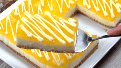 No-Bake Lemon Mousse Cake | DIY Joy Projects and Crafts Ideas