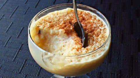 Old-Fashioned Creamy Rice Pudding Recipe | DIY Joy Projects and Crafts Ideas